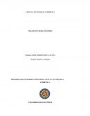 CIENCIA, TECNOLOGIA Y BIOETICA