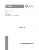 MATRIZ DE ACTIVIDADES.PRESUPUESTO DE INVERSION INICIAL