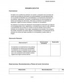 Informe de auditoria. RESUMEN EJECUTIVO