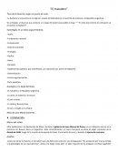 Resumen del Matadero de E. Echeverria