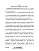 ENSAYO NIVELES DE RECAUDACIÓN EN MÉXICO