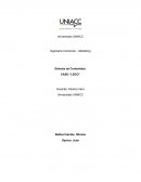 Síntesis de Contenidos: CASO “LEGO”