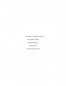 Generación y transmisión eléctrica. Seguridad Eléctrica