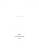 Análisis rubro viviendas