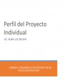 Perfil de proyecto Individual