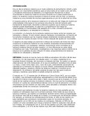 Ensayo lactancia materna