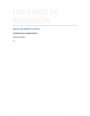 LOS VASOS DE EXPANSIÓN