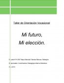 Proyecto de orientación vocacional: “Mi futuro, mi elección”