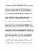 Las actividades agropecuarias en Nicaragua