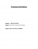 Proyectos informaticos - Gerenciamiento de proyectos