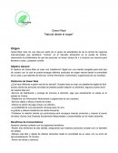 Green Real “Natural desde el origen”