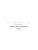 Máquinas en la industria manufacturera alimentaria, pescado y frutas