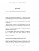 Seminario de integración Práctica Profesional