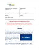 Preparación para la actividad colaborativa (de forma individual)