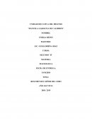 RESUMEN DEL SEÑOR DEL CERO