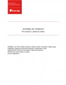 INFORME DE TERRENO Prevención a caídas de altura