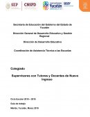 Análisis y reflexión del desarrollo de la estrategia de tutoría