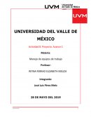 UVM ACTIVIDAD. MANEJOS DE EQUIPOS DE TRABAJO