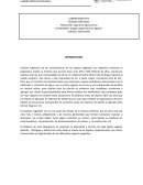 LABORATORIO Nº3 TEJIDOS VEGETALES