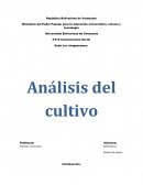Teoría del análisis del cultivo