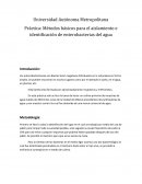 Práctica: Métodos básicos para el aislamiento e identificación de enterobacterias del agua