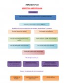 PRACTICA N° 04 GENETICA MENDELIANA