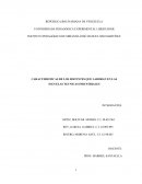 Caracteristicas de los docentes que laboran en las escuelas tecnicas industriales