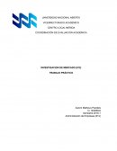 Investigacion de mercado (trabajo practico) La Roza restaurant, C.A