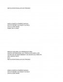 INSTALACION EN MALLAS ELECTRICIDAD