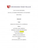 RIESGOS DE TRABAJO EN LAS EMPRESAS . INTRODUCCIÓN