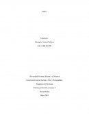 Programa de Psicología.Plan de accion