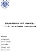 Informe de Biología Extracción del ADN
