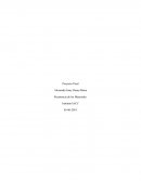 Proyecto final. Resistencia de los Materiales