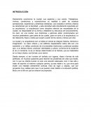 Ensayo sobre el estudio de las Trazas Urbanas en Mexico