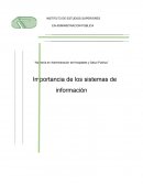 Importancia de los sistemas de información