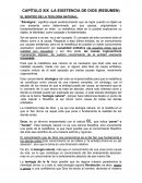 MILAN PUELLES - EXISTENCIA DE DIOS RESUMEN