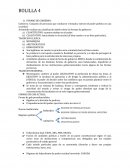 Bolilla 4 FORMAS DE GOBIERNO