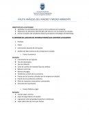 PAUTA ANÁLISIS DEL MACRO Y MICRO AMBIENTE