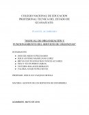 PLANTEL ACAMBARO “MANUAL DE ORGANIZACIÓN Y FUNCIONAMIENTO DEL SERVICIO DE URGENCIAS”