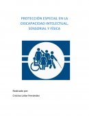 PROTECCIÓN ESPECIAL EN LA DISCAPACIDAD INTELECTUAL, SENSORIAL Y FÍSICA