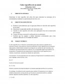 Calor especifico de un metal