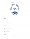 Estudio de caso proyectivas