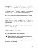 DESARROLLO DE LA AUDIENCIA