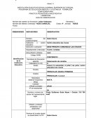 PRACTICA PEDAGÓGICA INVESTIGATIVA