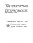 CONCRETO BOMBEADO EN OBRA