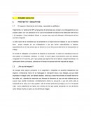 Plan de negocio, sistema gps