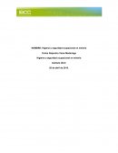 Higiene y seguridad ocupacional en minería