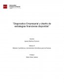 Diagnostico empresarial y diseño de estrategias financieras disponible
