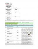 DESARROLLO DE LA MOTRICIDAD