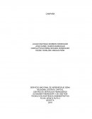 CONSTRUYENDO NUESTRO MUNDO